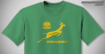 Springboks | South Africa